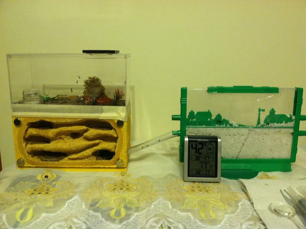 Deux installations d'élevage, avec hygromètre et thermomètre