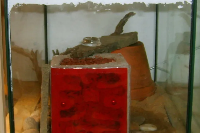 Formicarium with ytongNest